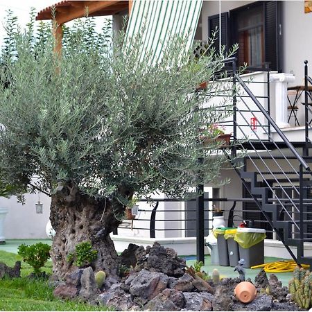 Pompei Gryllus B&B 외부 사진