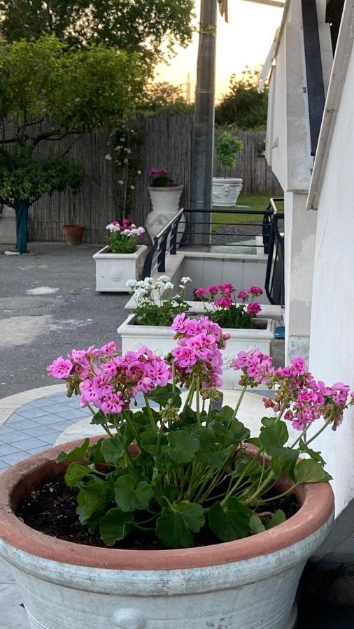 Pompei Gryllus B&B 외부 사진